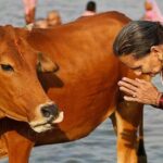 10 viajes que todos deberían tener en su lista de viajes que hacer antes de morir »