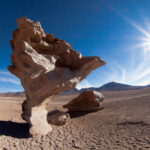 Explorando los Misterios de la Amazonía Brasileña »