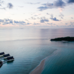 Ford Bronco Everglades, un SUV a todoterreno »