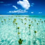 BMW X3 xDrive30i del 2025, combina un buen rendimiento con un gran confort »