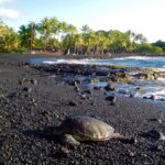 ¿Cuáles son los puentes peatonales que ofrecen vistas que quitan el aliento? »