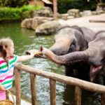 Los 5 parques de diversiones para amantes del terror »