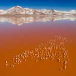 5 autos para jóvenes que acaban de sacar su licencia »