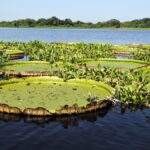 ¿Cuáles son las 5 ciudades del mundo más recomendadas para viajar con niños? »