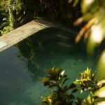 Los 5 mejores autos descapotables del 2026 »